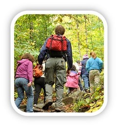 A group of people hiking up a forested trail with golden autumn foliage.