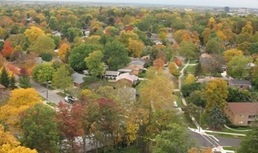 Autumn in Ann Arbor neighborhood
