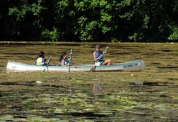 Canoeing on the Huron River