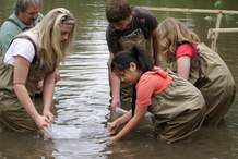 Salmon release