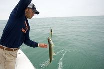 Man catching muskellunge