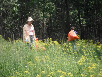 Volunteers work at Brighton Recreation Area