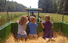 kids on a hayride