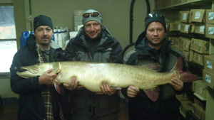 Joseph Seeberger with Great Lakes muskellunge