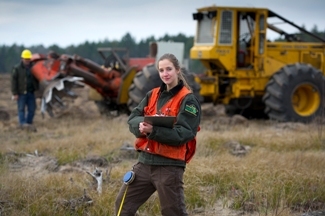 DNR forester at work