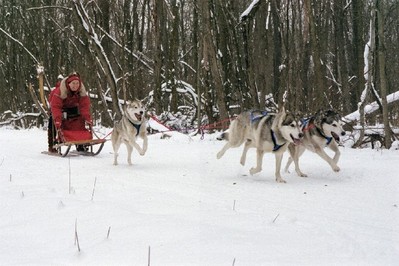 Mushing