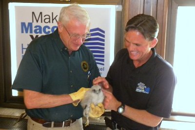 DNR Southeast Regional Wildlife Supervisor Tim Payne (left) and Macomb County Executive Mark Hackel with peregrine falcon chick.
