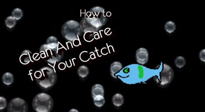 Clean and care for your catch Clean and care for your catch video screenshot