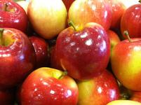 Michigan apples