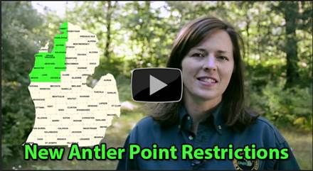 Video Player Thumbnail Image