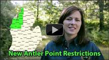 Antler Point Restrictions Video