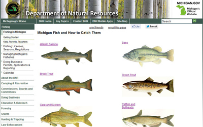 screenshot of Michigan Fish and How to Catch Them website