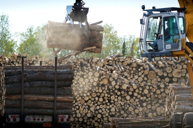 Through the Commercial Forest program, the forest products industry is encouraged to invest in setting up shop in Michigan. 
