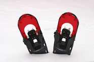 Red snowshoes in the snow