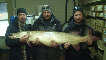 World-record Great Lakes muskellunge from October 2012