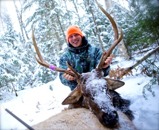Webb elk