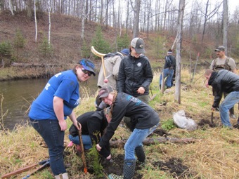 planting cedars along river