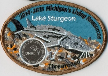 lake sturgeon patch