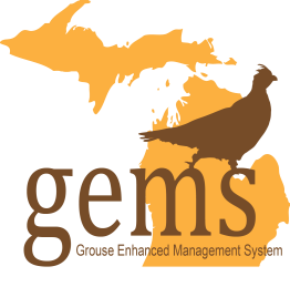 GEMS logo