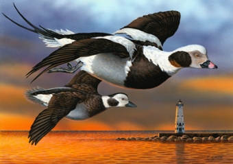 2014 Michigan duck stamp