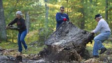 Volunteers clean up trash in Grand Traverse County.