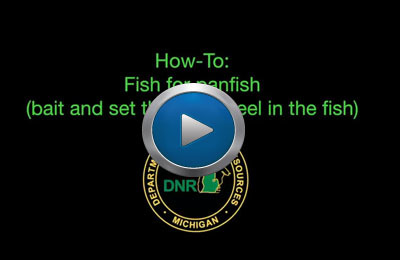 Screenshot of How-To fish for panfish video