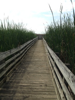 Maple River accessible blind