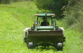 Southeast MI deer habitat project