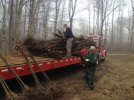 Two DNR staff doing habitat work