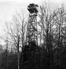 DNR fire tower 1965