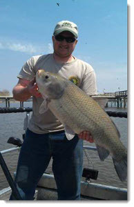 Fisheries Division employee holding a fish during a survey