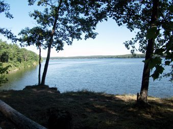 Lakeside view at Newaygo State Park