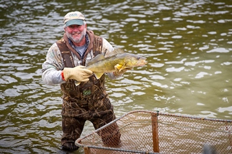 Egg-take volunteer holding a walleye