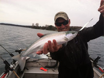 Atlantic salmon caught on Torch Lake