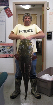 Master Angler flathead catfish entry