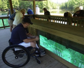 Man in wheelchair looks into the water of Kitch-iti-Kipi from the accessible viewing platform