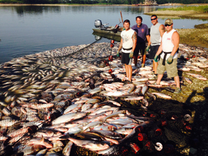 Commercial fisherman stand with Asian carp caught during Illinois River clean-up