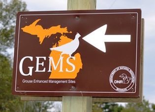 GEMS sign 