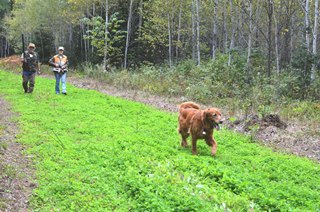Hunters with their dog at the Iron Count GEMS location