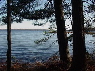 View of Hamlin Lake through trees