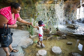 lady helping boy cross stepping stones near Outdoor Adventure Center waterfall