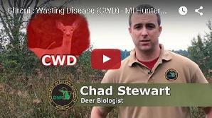 CWD video still frame