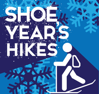 MI Shoe Year's graphic