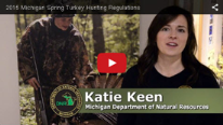 spring turkey hunting video still frame