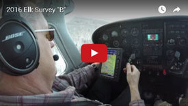 2016 elk survey video thumbnail image