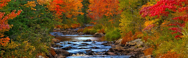 A river surrounded by fall foliage in autum.