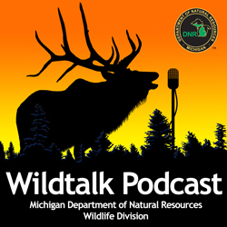 Wildtalk Podcast Logo