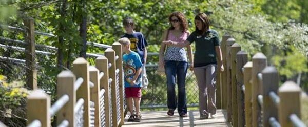 A guide leads a mother and son along the raised walkways at the Iron Industry Museum