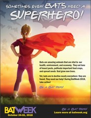 Michigan Bat Week poster