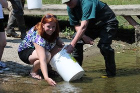 Woman crouches in water with bucket to help stock juvenile lake sturgeon